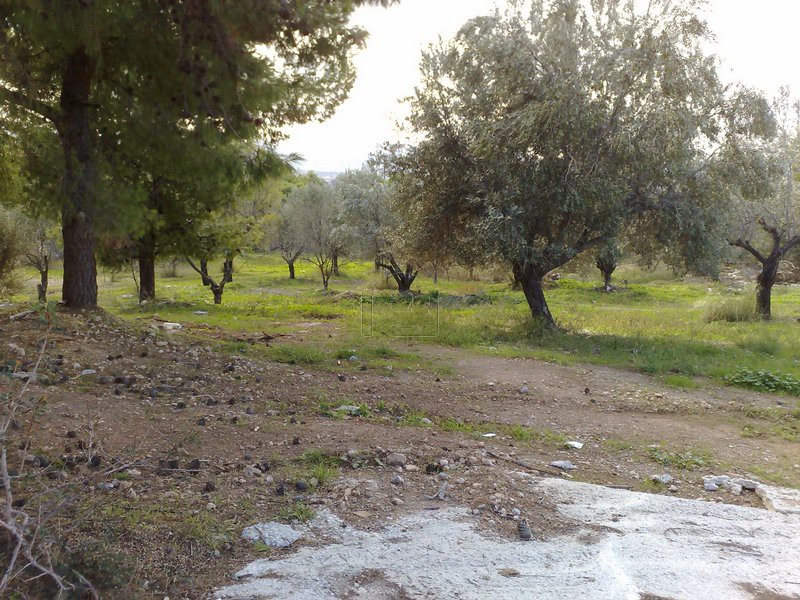 Αγροτεμάχια 4.000τ.μ. για πώληση-Λουτράκι-περαχώρα