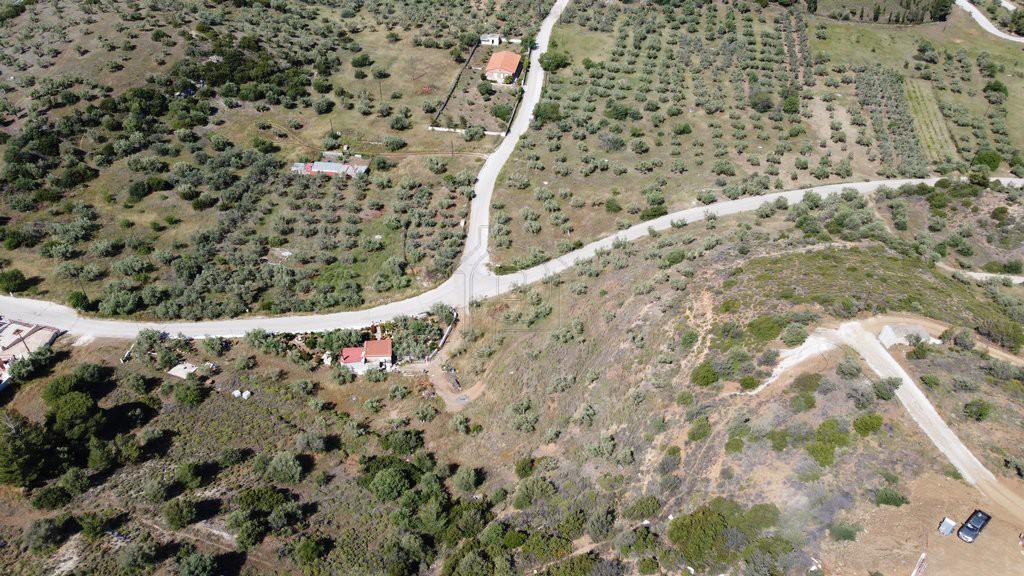 Αγροτεμάχια 6.000 τ.μ. προς πώληση, Περαχώρα