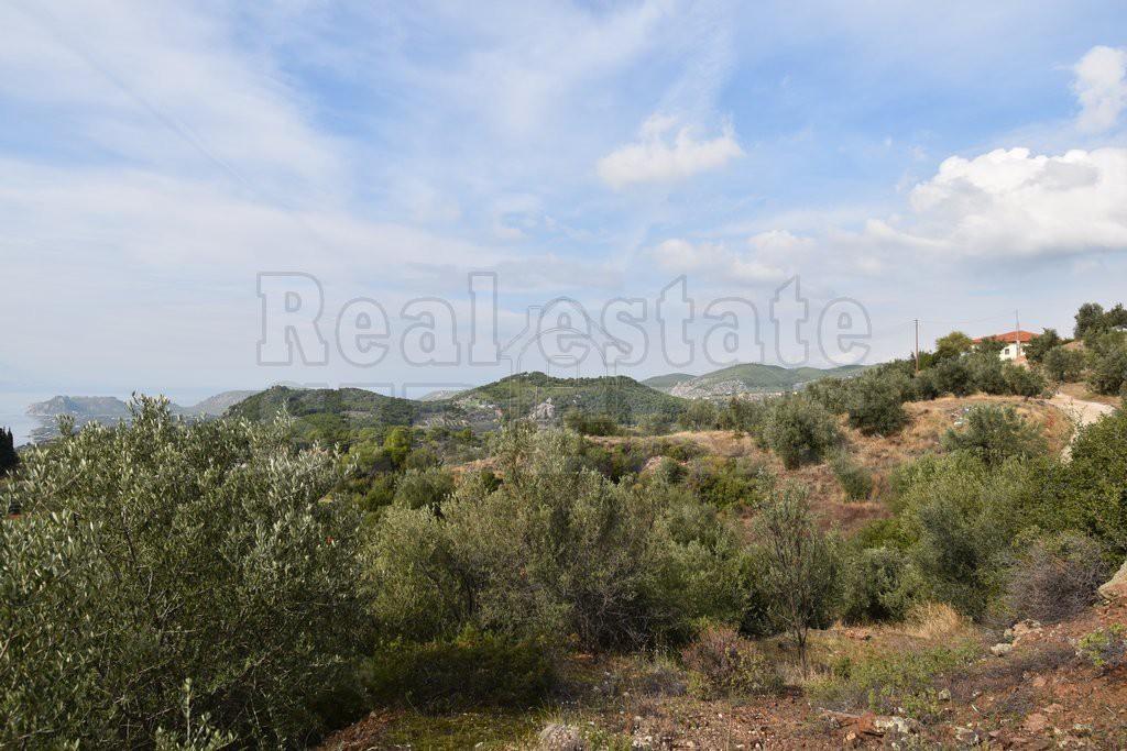 Αγροτεμάχια 6.000 τ.μ. προς πώληση, Περαχώρα