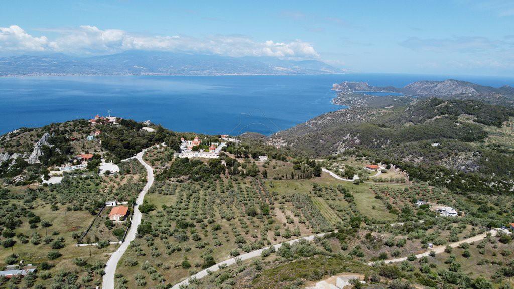 Αγροτεμάχια 6.000 τ.μ. προς πώληση, Περαχώρα