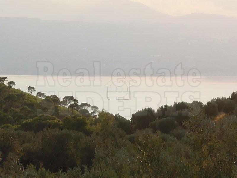 Αγροτεμάχια 8.558 τ.μ. προς πώληση, Περαχώρα