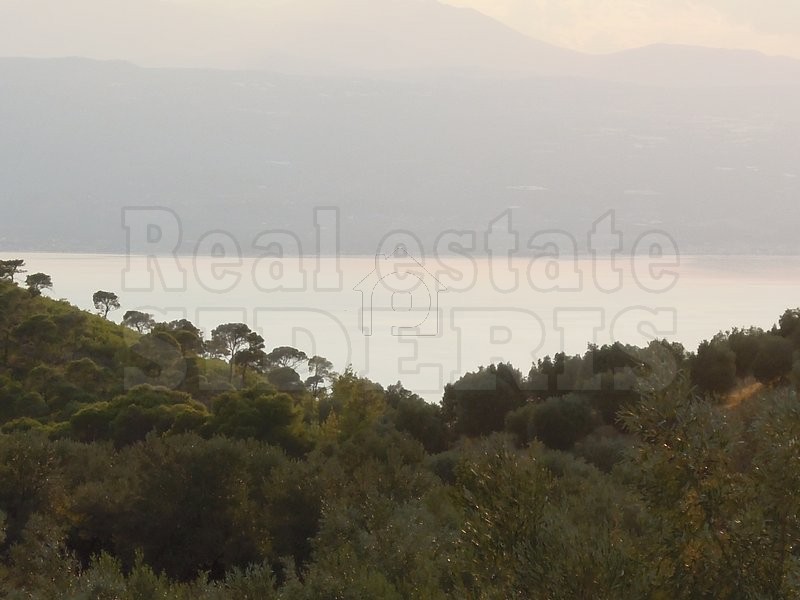 Αγροτεμάχια 8.558 τ.μ. για πώληση