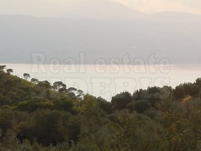 Αγροτεμάχια 8.558τ.μ. για πώληση-Λουτράκι-περαχώρα » Περαχώρα