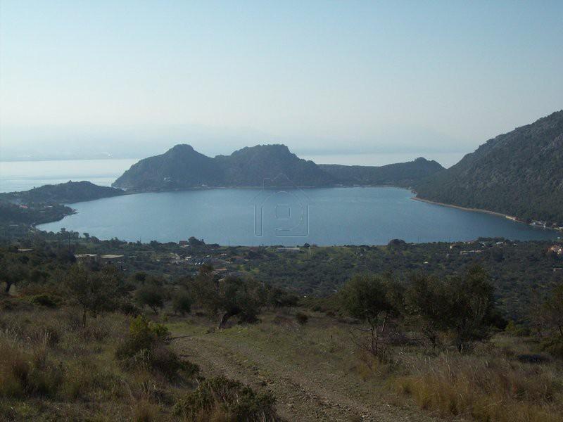 Αγροτεμάχια 16.500 τ.μ. προς πώληση, Λουτράκι-Περαχώρα