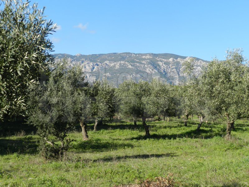 Αγροτεμάχια 18.000τ.μ. για πώληση-Λουτράκι-περαχώρα