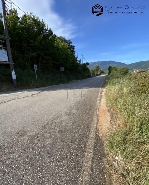 Αγροτεμάχια 5.000 τ.μ. πρός πώληση, Ν. Κεφαλονιάς, Κεφαλονιά