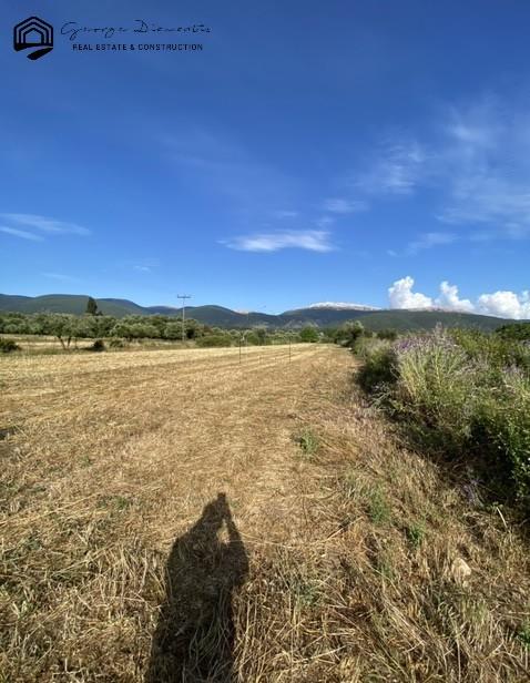 Αγροτεμάχια 5.000 τ.μ. πρός πώληση, Ν. Κεφαλονιάς, Κεφαλονιά