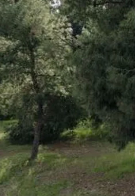 Land plot 800sqm for sale-Vouliagmeni » Kavouri