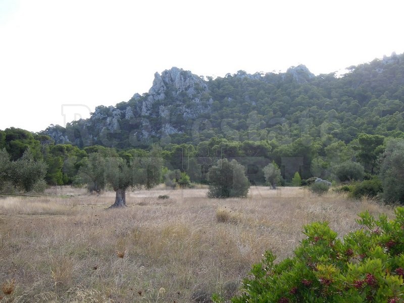 Parcel 8.098sqm for sale-Loutraki-Perachora » Perachora