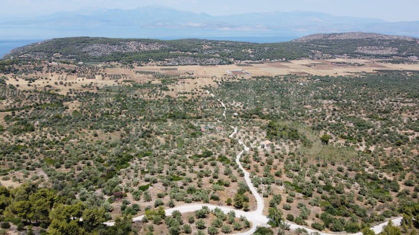 Αγροτεμάχια 14.000 τ.μ. για πώληση, Κορινθία, Λουτράκι-Περαχώρα