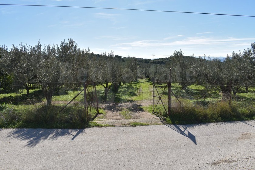 Parcel 6.000sqm for sale-Loutraki-Perachora