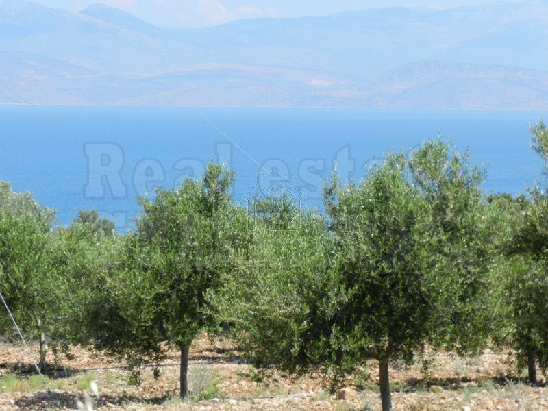 Αγροτεμάχια 5.000τ.μ. για πώληση-Λουτράκι-περαχώρα