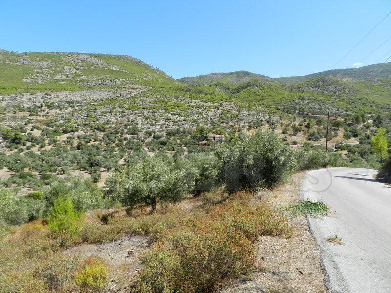 Αγροτεμάχια 4.300 τ.μ. προς πώληση, Λουτράκι-Περαχώρα