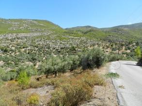 Αγροτεμάχια 4.300 τ.μ. για πώληση, Κορινθία, Λουτράκι-Περαχώρα-thumb-3