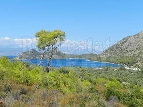 Αγροτεμάχια 4.300 τ.μ. για πώληση, Κορινθία, Λουτράκι-Περαχώρα-thumb-4
