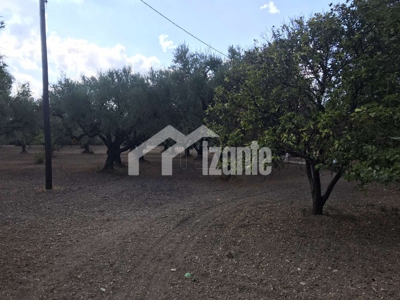 Land plot 3.033 sqm for sale, Zante, Laganas