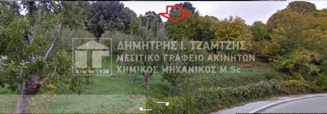 Αγροτεμάχια 2.188τ.μ. για πώληση-Μηλιές » Σταυροδρόμι