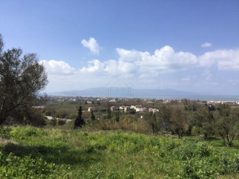 Parcel 233 sqm for sale