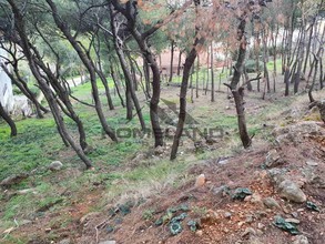 Οικόπεδο 665τ.μ. για πώληση-Ραφήνα » Καλλιτεχνούπολη