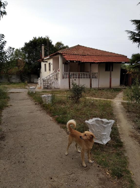 Μονοκατοικία 100 τ.μ. πρός πώληση, Χαλκιδική, Καλλικράτεια