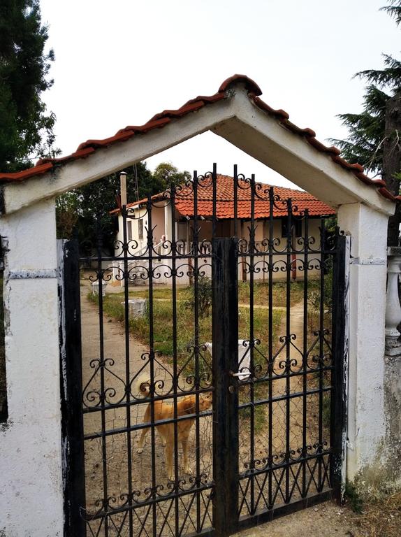 Μονοκατοικία 100 τ.μ. πρός πώληση, Χαλκιδική, Καλλικράτεια