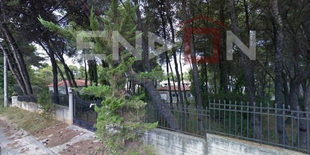 Land plot 1.300sqm for sale-Ekali