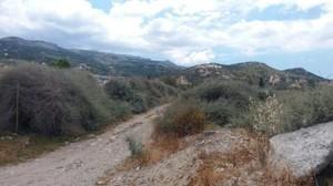 Οικόπεδο 6.000 τ.μ. για πώληση, Ν. Λασιθίου, Σητεία-thumb-6