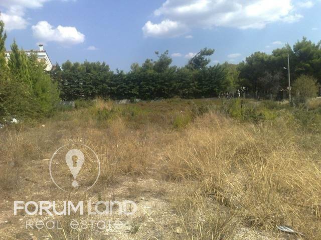 Land plot 564 sqm for sale, Chalkidiki, Kallikrateia