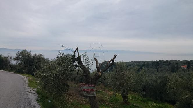 Land plot 1.607sqm for sale-Afetes » Afissos