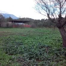 Οικόπεδο 800 τ.μ. για πώληση, Εύβοια, Αμάρυνθος-thumb-2