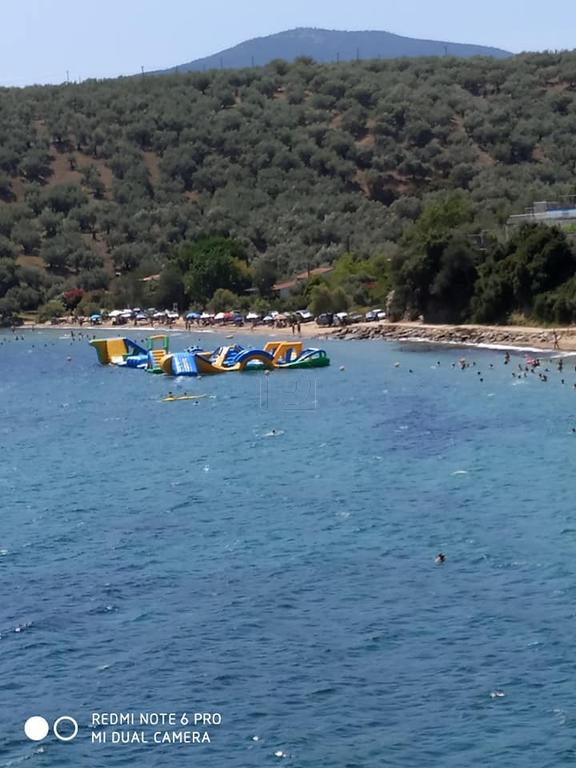 Apartment complex 550 sqm for sale, Magnesia, Pteleos