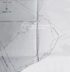 Αγροτεμάχια 9.100 τ.μ. προς πώληση, Ελιά Σιθωνίας-thumb-4