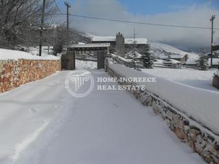 Μονοκατοικία 173 τ.μ. για πώληση, Πέλλα, Βεγορίτιδα-thumb-20
