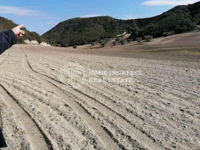 Αγροτεμάχια 90.000 τ.μ. πρός πώληση, Χαλκιδική, Παλλήνη