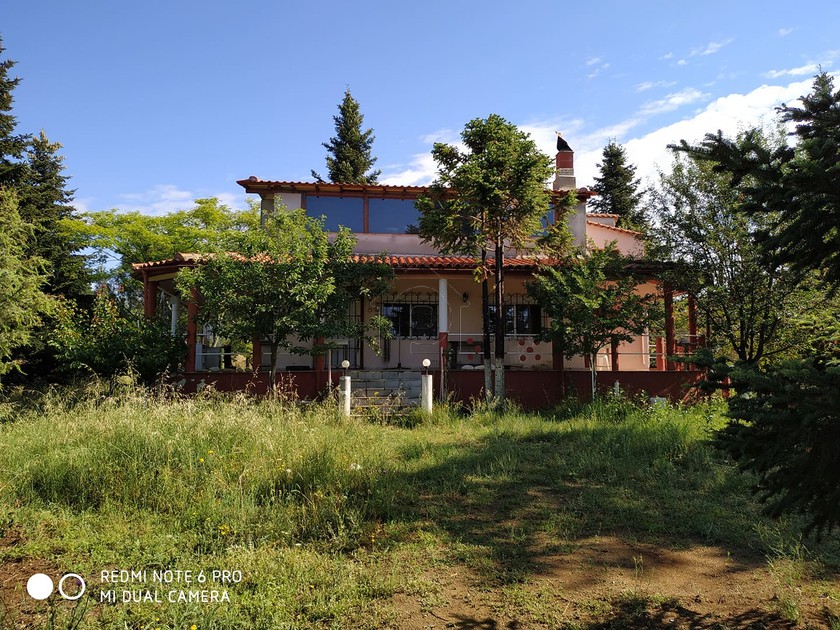 Detached home 5.000 sqm for sale, Thessaloniki - Rest Of Prefecture, Lachanas