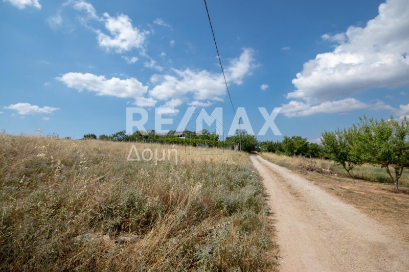 Αγροτεμάχια 5.210τ.μ. για πώληση-Αισωνία » Σέσκλο