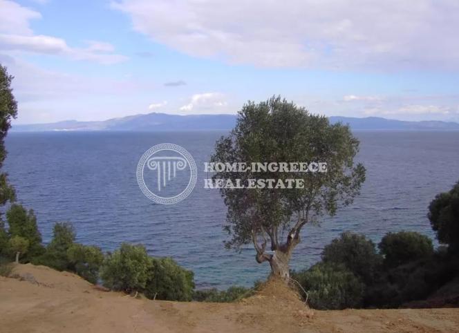 Αγροτεμάχια 9.750 τ.μ. πρός πώληση, Χαλκιδική, Παλλήνη