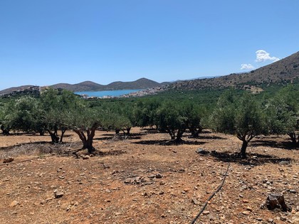 Land plot 2.500sqm for sale-Agios Nikolaos » Epano Elounta
