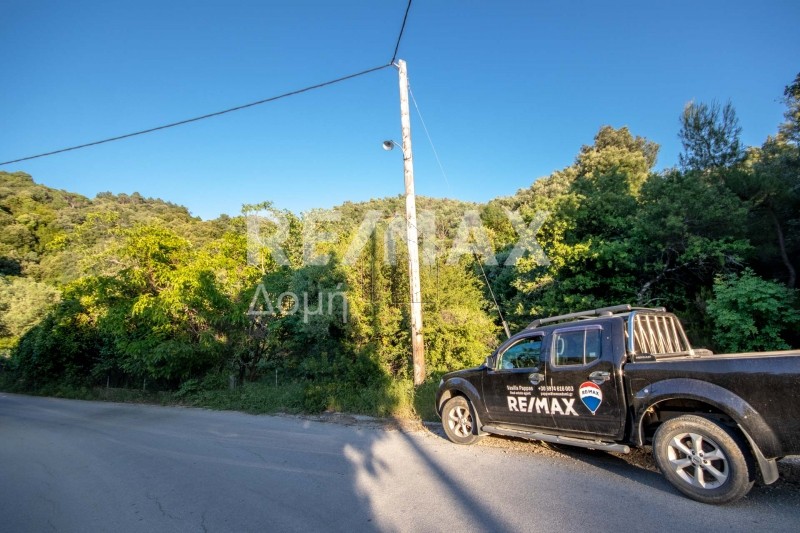 Αγροτεμάχια 4.200 τ.μ. για πώληση, Σποράδες, Σκιάθος