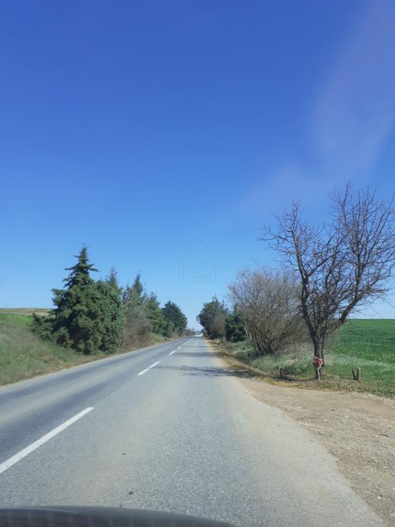 Αγροτεμάχια 9.500 τ.μ. προς πώληση, Πύργος Σανή