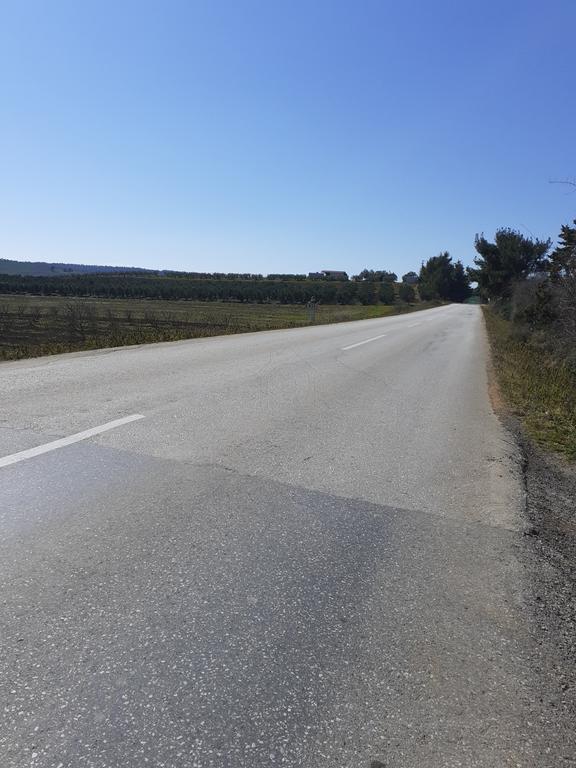 Αγροτεμάχια 9.500 τ.μ. προς πώληση, Πύργος Σανή