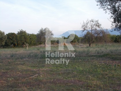 Land plot 19.000sqm for sale-Aigio » Agia Anna
