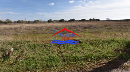 Parcel 5.400sqm for sale-Alexandroupoli » Palagia
