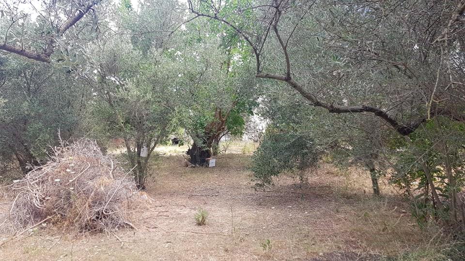 Οικόπεδο 1.066 τ.μ. πρός πώληση, Ν. Χανίων, Χανιά