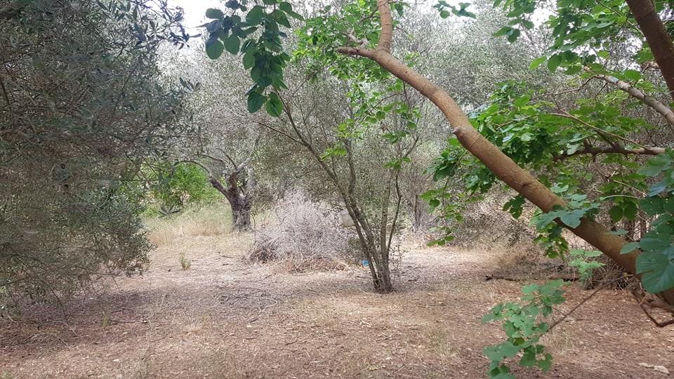Οικόπεδο 1.066 τ.μ. πρός πώληση, Ν. Χανίων, Χανιά