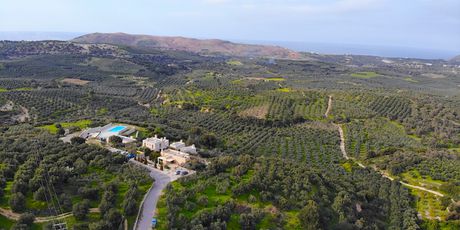 Land plot 7.334sqm for sale-Geropotamos » Aggeliana