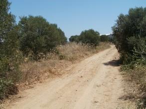 Οικόπεδο 2.500 τ.μ. για πώληση, Χαλκιδική, Κασσάνδρα-thumb-5