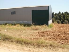 Οικόπεδο 2.500 τ.μ. για πώληση, Χαλκιδική, Κασσάνδρα-thumb-8