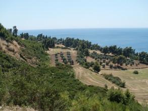 Οικόπεδο 2.500 τ.μ. για πώληση, Χαλκιδική, Κασσάνδρα-thumb-11