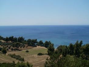 Οικόπεδο 2.500 τ.μ. για πώληση, Χαλκιδική, Κασσάνδρα-thumb-14
